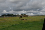 Photo /users/ganesh/gryphon/6051