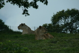 Photo /users/ganesh/gryphon/6067