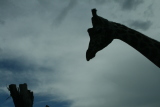 Photo /users/ganesh/gryphon/6075