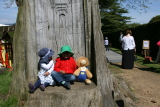 Photo /users/ganesh/gryphon/6748