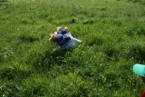 Photo /users/ganesh/gryphon/6775