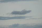 Photo /users/ganesh/gryphon/718