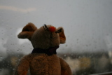 Photo /users/ganesh/gryphon/753