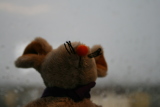 Photo /users/ganesh/gryphon/754