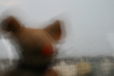 Photo /users/ganesh/gryphon/755