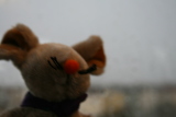 Photo /users/ganesh/gryphon/756