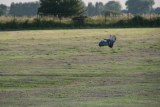 Photo /users/ganesh/gryphon/7771