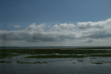 Photo /users/ganesh/gryphon/7925