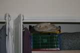 Photo /users/ganesh/gryphon/8