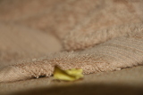 Photo /users/ganesh/gryphon/8036