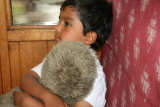 Photo /users/ganesh/gryphon/8060
