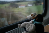Photo /users/ganesh/gryphon/815