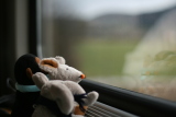 Photo /users/ganesh/gryphon/821