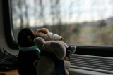 Photo /users/ganesh/gryphon/823