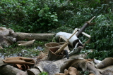 Photo /users/ganesh/gryphon/8620