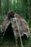 Photo /users/ganesh/gryphon/8621