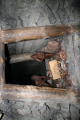 Photo /users/ganesh/gryphon/886