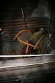 Photo /users/ganesh/gryphon/931
