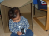 Photo /users/ganesh/kelpie/351