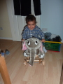 Photo /users/ganesh/kelpie/386