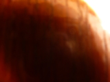 Photo /users/ganesh/kelpie/5898