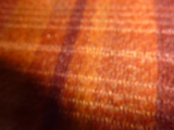 Photo /users/ganesh/kelpie/5925