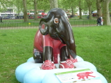 Photo /users/ganesh/kelpie/708