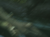Photo /users/ganesh/monkeynut/1179