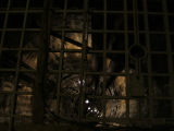 Photo /users/ganesh/monkeynut/1412