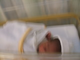 Photo /users/ganesh/monkeynut/1448