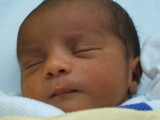 Photo /users/ganesh/monkeynut/1478