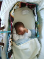 Photo /users/ganesh/monkeynut/1512