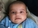 Photo /users/ganesh/monkeynut/1545
