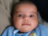 Photo /users/ganesh/monkeynut/1550