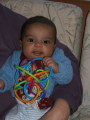 Photo /users/ganesh/monkeynut/1552