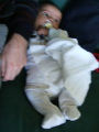 Photo /users/ganesh/monkeynut/1557