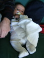 Photo /users/ganesh/monkeynut/1558