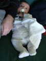 Photo /users/ganesh/monkeynut/1559
