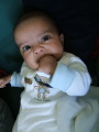 Photo /users/ganesh/monkeynut/1561