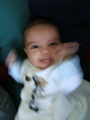 Photo /users/ganesh/monkeynut/1562