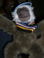Photo /users/ganesh/monkeynut/159