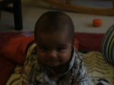 Photo /users/ganesh/monkeynut/1683