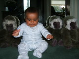 Photo /users/ganesh/monkeynut/1759