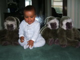 Photo /users/ganesh/monkeynut/1760