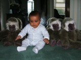 Photo /users/ganesh/monkeynut/1761