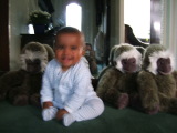 Photo /users/ganesh/monkeynut/1763