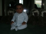 Photo /users/ganesh/monkeynut/1766