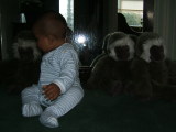 Photo /users/ganesh/monkeynut/1767