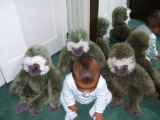 Photo /users/ganesh/monkeynut/1769