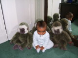 Photo /users/ganesh/monkeynut/1770